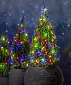 DEW DROP MICRO Ljusslinga 36m 480LED Multi/Grön