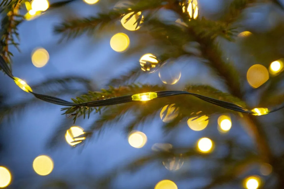 DEW DROP MICRO Ljusslinga 36m 480LED Varmvit/Grön