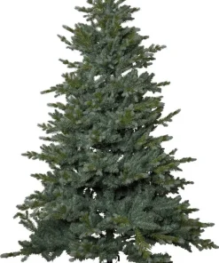 GREYLAND Julgran 210cm Grön