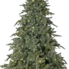 GREYLAND Julgran 210cm 700L Grön