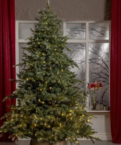 GREYLAND Julgran 210cm 700L Grön