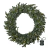 GREYLAND Krans Batteri 80cm Grön