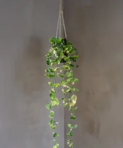 LAOS Konstväxt 60cm Grön