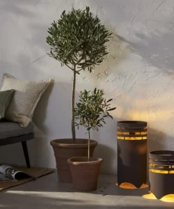 MARRON Solcellslykta/USB 40cm Brun