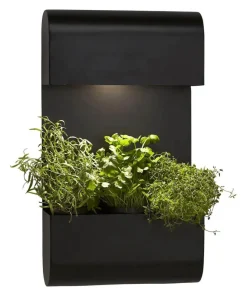 PLANTA Vägglampa 70cm Svart