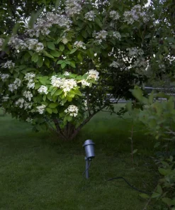 SPOTLIGHT FOCUS Utomhusdekoration 30cm Svart IP44