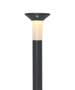 VALTA Solcells-pollare Sensor 55/90cm Grafit